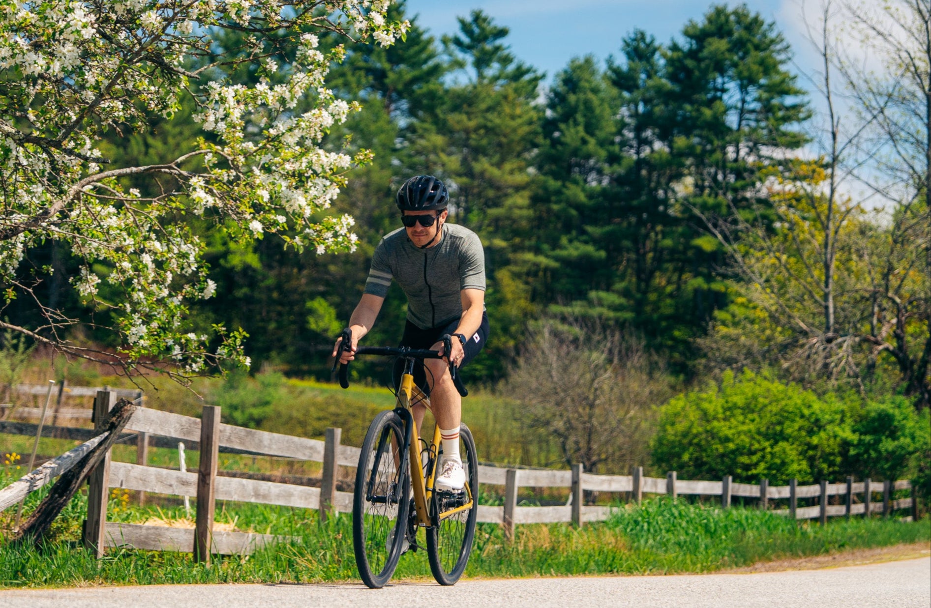 Person riding a bicycle on a road with trees and a wooden fence in the background