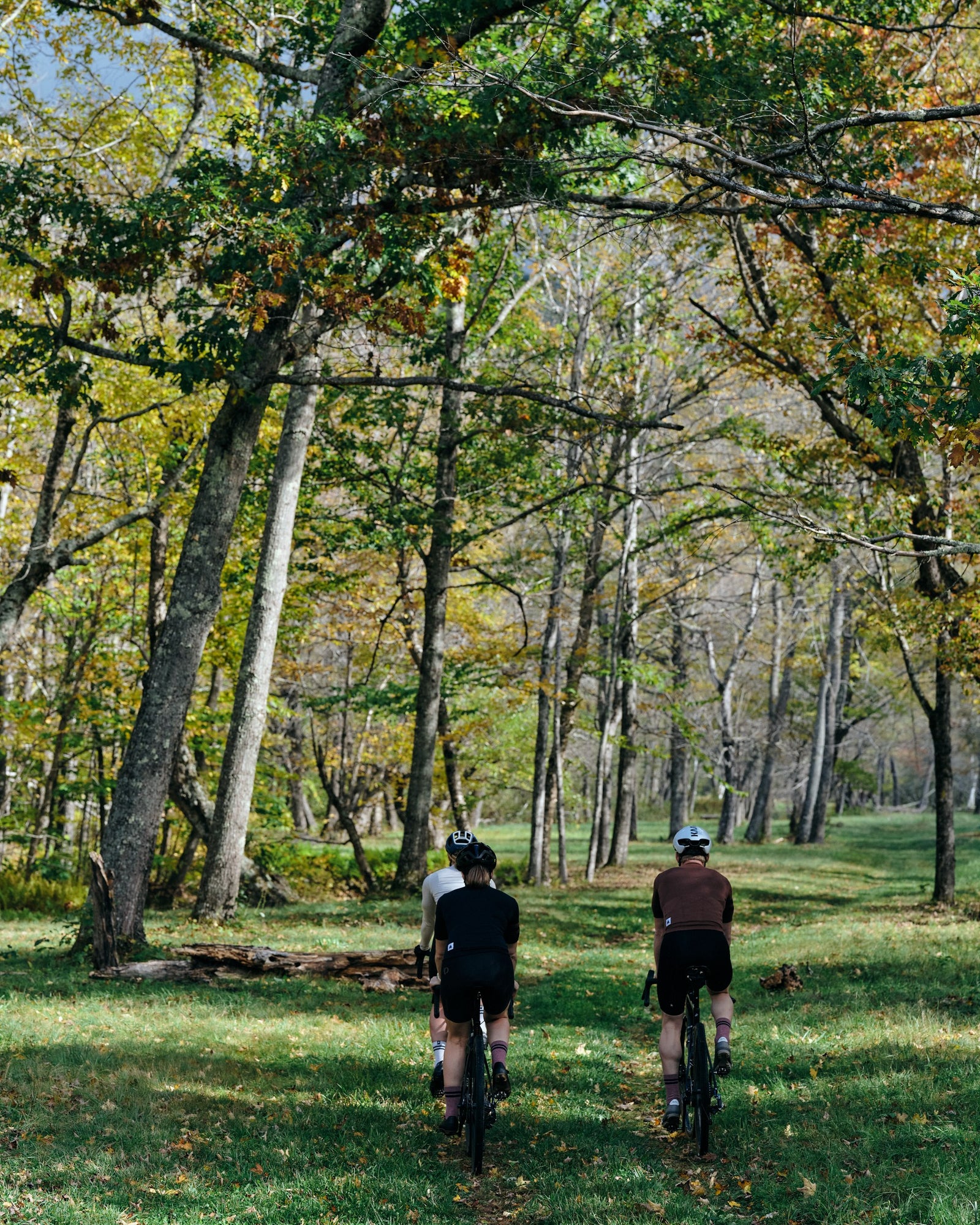 Three cyclists riding on double track through a wooded field in Maine in the fall wearing Pinebury Merino Wool Cycling Jerseys