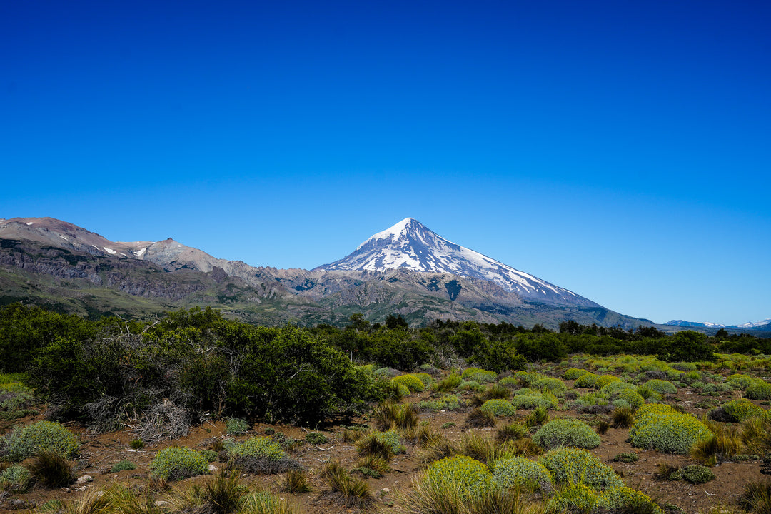 Fishing In Patagonia