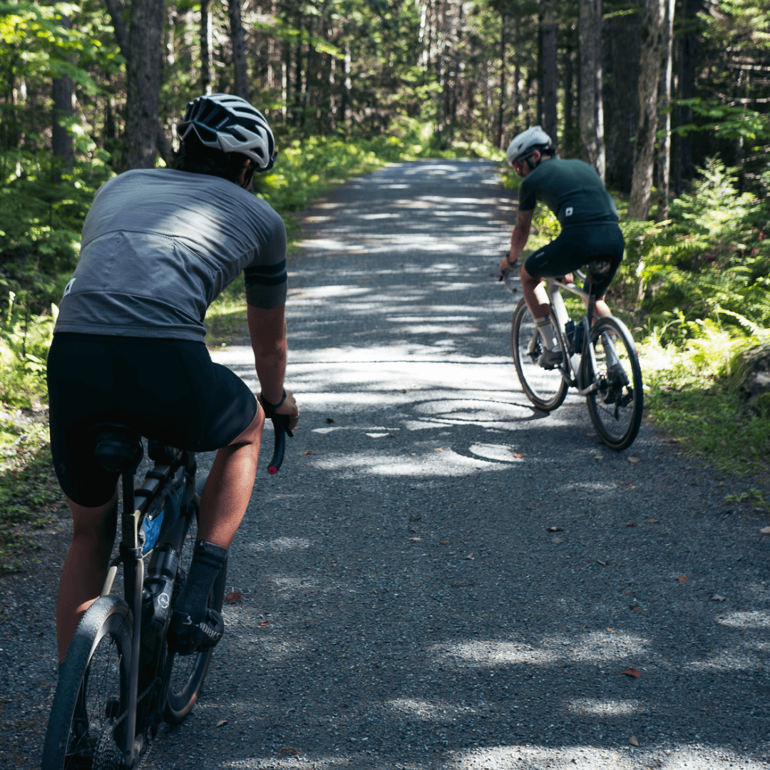 Evergreen Collection - Pinebury
