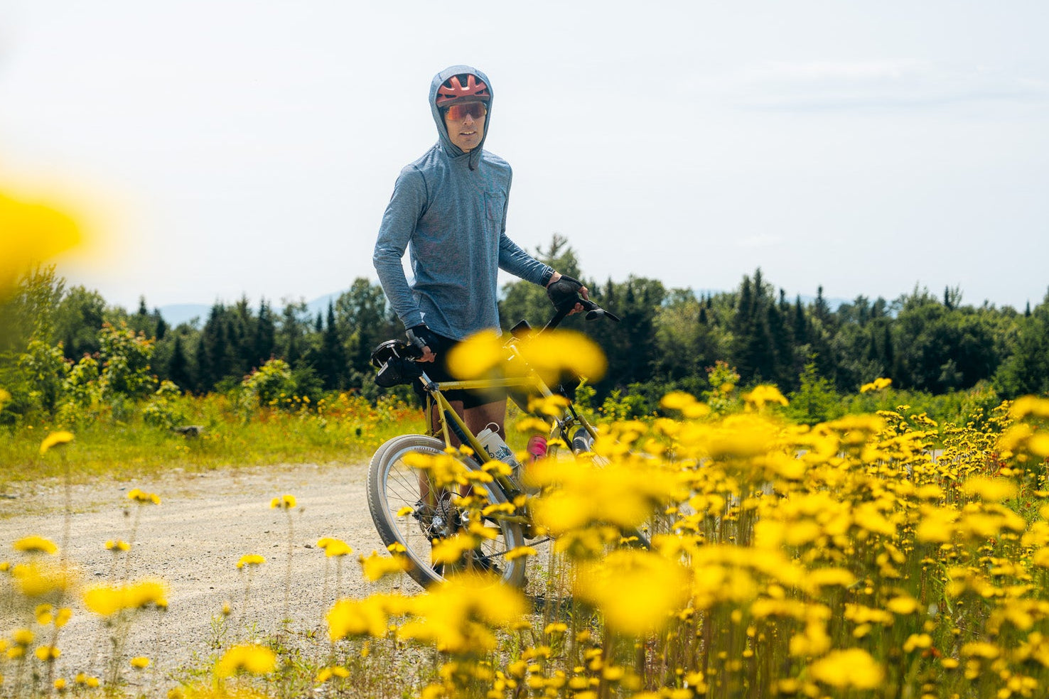 Person cycling through a field of yellow flowers on a sunny day.