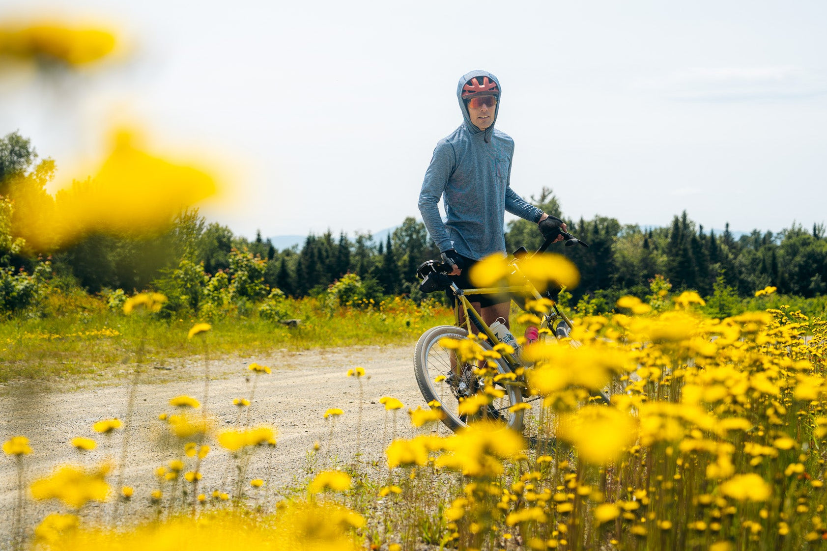Person cycling through a field of yellow flowers on a sunny day.