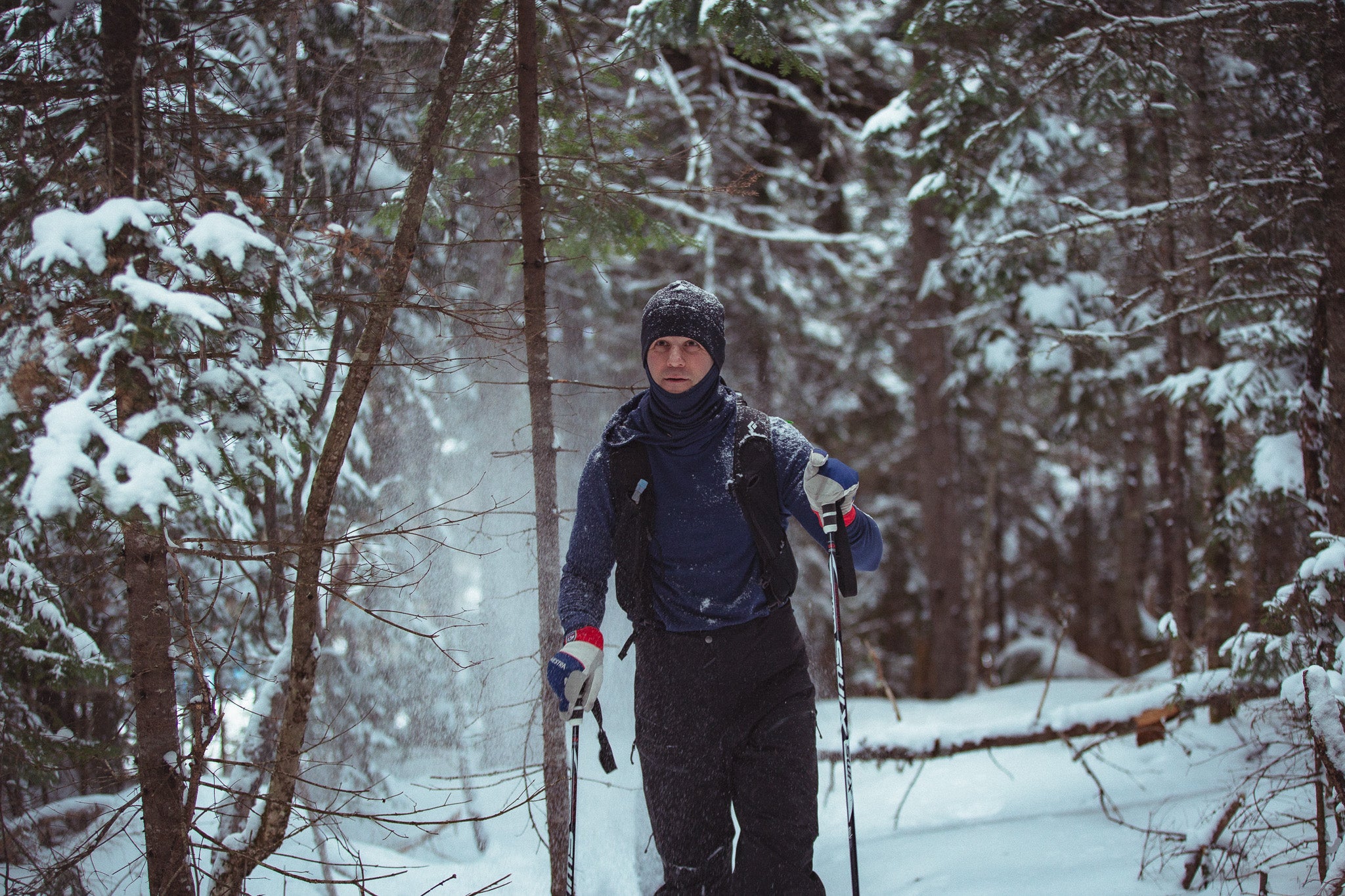 Person cross-country skiing through a snowy forest