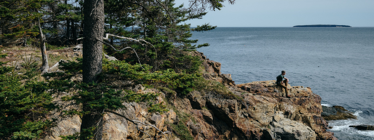 A large photo showing a man sitting on coastal rocks with the water in the background and an island, in Acadia National Park in Maine. Also showing the transition from the rocks to a thick forest.